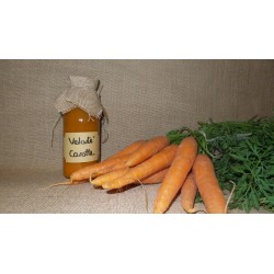 Velouté de carotte