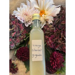 VINAIGRE CITRON VERT GINGEMBRE